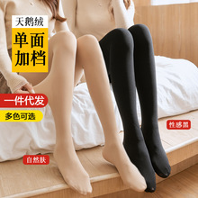 ����������ɫ�z�mŮ���������z�к��Bѝ�m120D���Z�q���ѝ�m��
