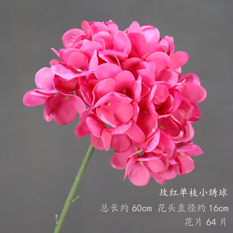 Rosa pequeña Hortensia