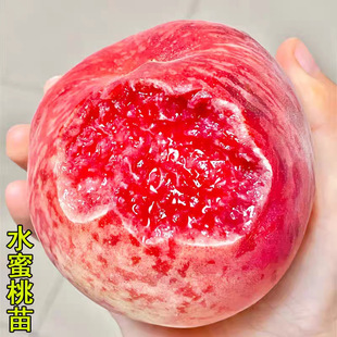 ����ˮ���Ҙ�����������¶ˮ���������Ծ���ͥԺ������������