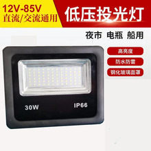 源头厂货  LED户外投光灯 投射灯高光效多角度 12-85V 10W-200W