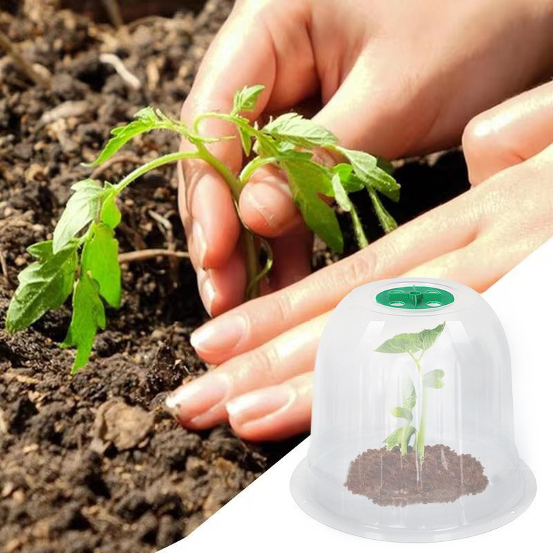 植物苗恒温断熱カバープラスチック透明園芸苗カバー苗保湿断熱苗メンテナンスカバー|undefined