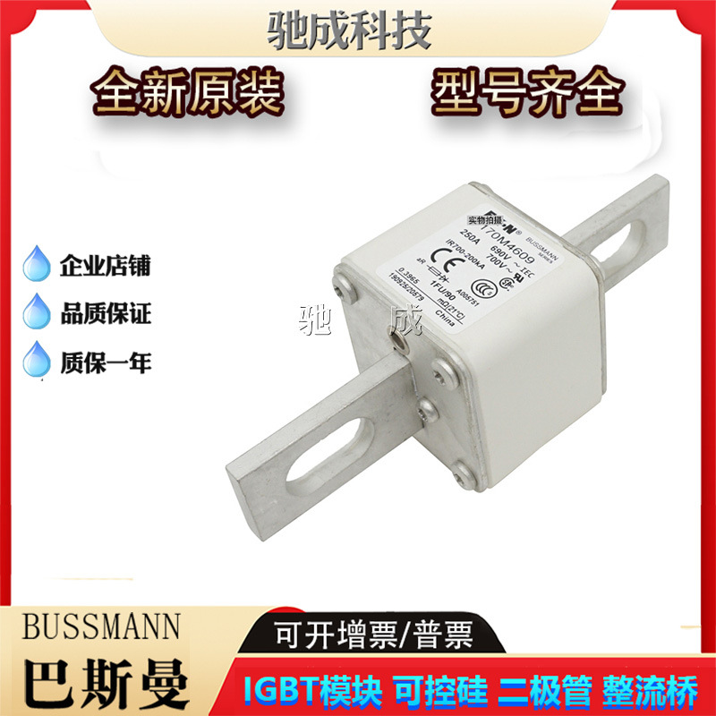 巴斯曼170M4670 170M4672 170M4699  低压保险丝诚信经营货源充足