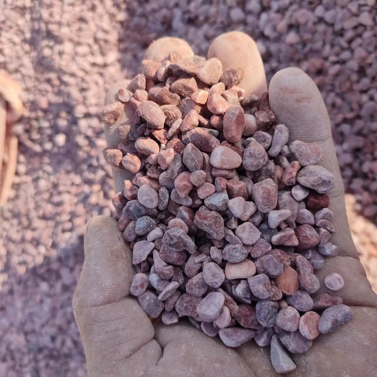 雨花石铺地多彩原石天然室外养鱼池龟缸黄色铺院子五彩