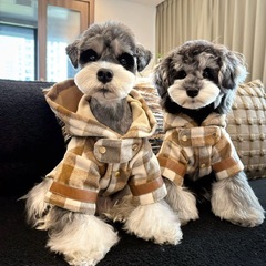 ペット猫服フード付きコート犬秋冬保温厚手テディ比熊英短橘猫