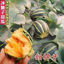 �������ϷN�ӻ�Ƥ�ִ���t��߅�������ˮ����ϷN�Ӽ�ͥ����