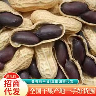 ��؛�ڻ������lС���ڻ��������ڻ���������Ƥ�����׬F؛����خa