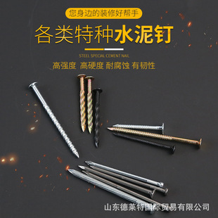 �羳�R����\��z� �黨� ���w�M������� ��z�����