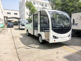 其他电动车;电动观光车;库存交通工具