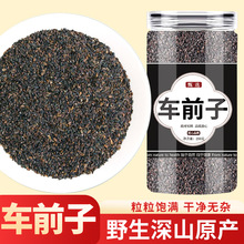 �ؼ�܇ǰ����ș����Ʒ����ș܇ǰ����܇ǰ�Ӳ�܇ǰ�Ѻ���������ˮ