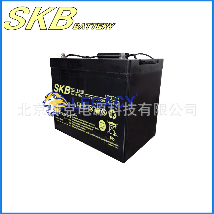 德国SKB蓄电池UPS电源通信用电池-SKBbattery