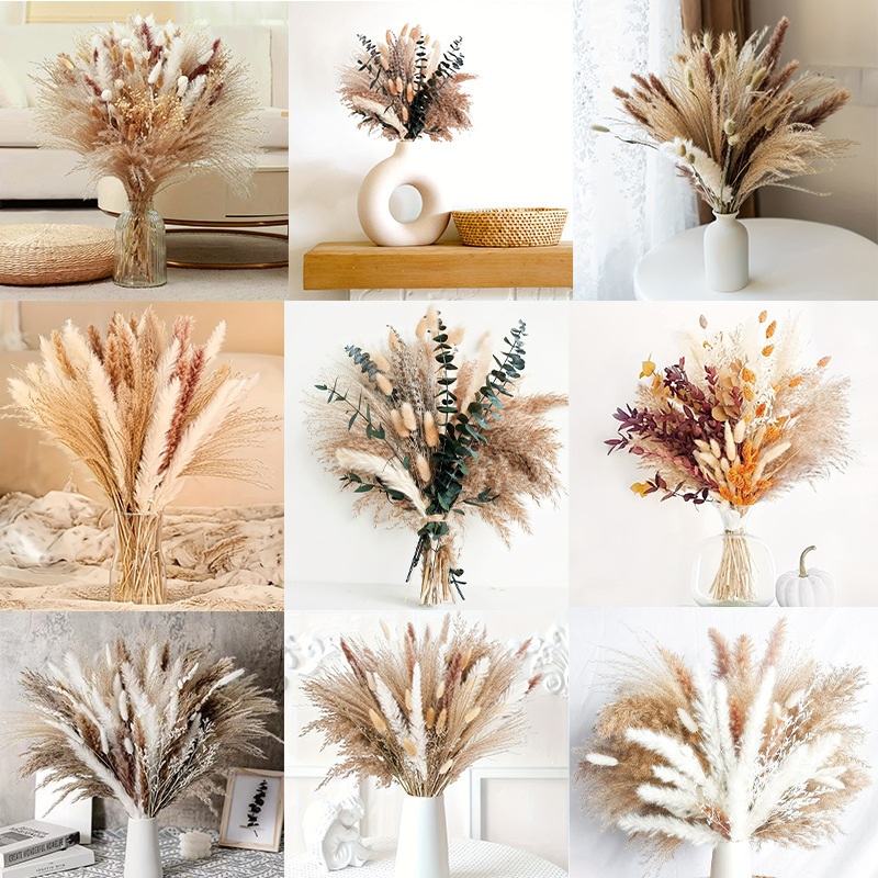 Cross-border Hot-selling Pupe Reed Dried Flower Eucalyptus Small Reed Small Whisk Rabbit Tail Grass Pampas Grass Combination Flower suit