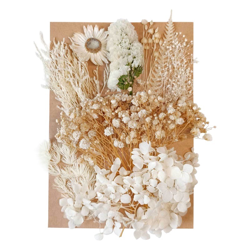Flor seca flor eterna marco de fotos en relieve paquete de material combinación paquete de flores aromaterapia ventilador A5 bolsa de fábrica al por mayor transfronteriza