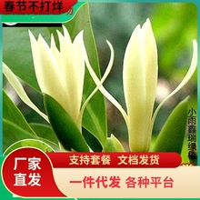 һ�����l���m�����m���绨���S���mֲ���̨�҃ȾGֲ�׻������