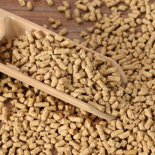 Chicken and duck feed chicks and goose price feed chicken native chicken chicken fattening factory