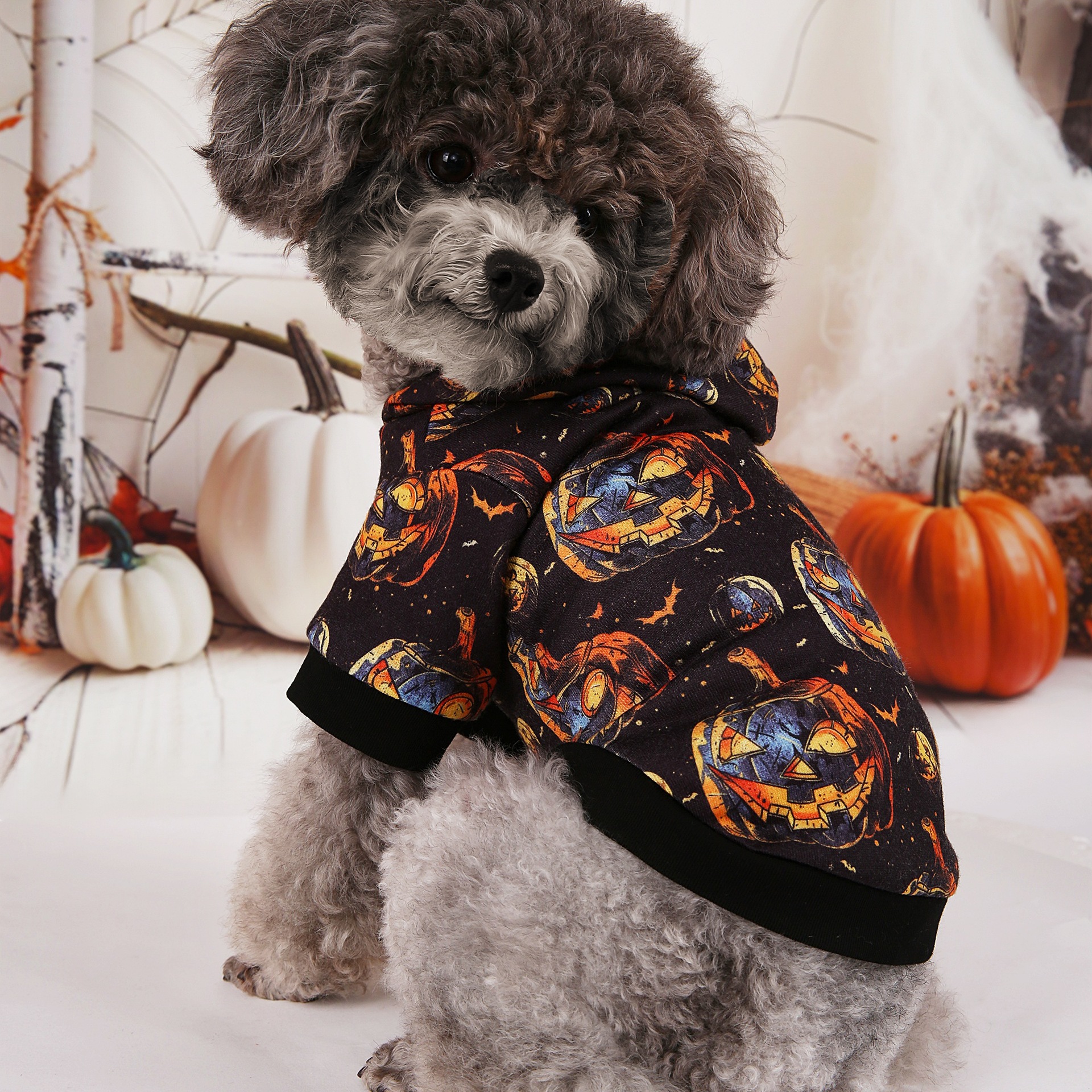 Sudadera de Halloween para Mascotas de Algodón de Poliéster, para Fiestas