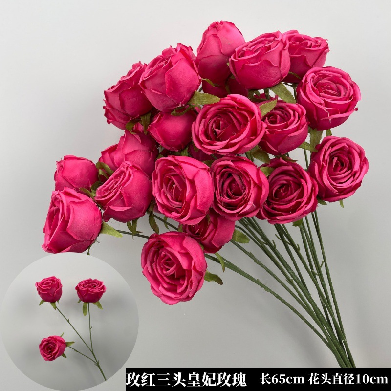로즈 레드 프린세스 로즈