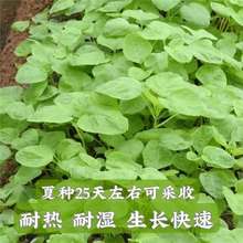 L{˷NӰ׈A~{˷NѰ׺ļͺ{