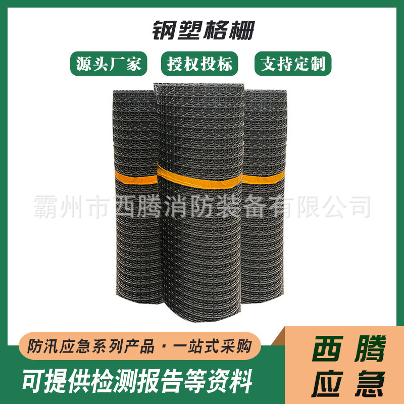 钢塑复合格栅加筋稳固钢塑网格复合土工格栅钢塑加筋网格