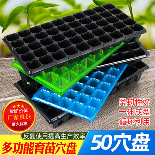 �S�ҬF؛50Ѩ����P ������Nֲ�����߲��������P ���l��������