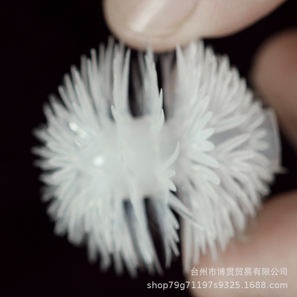 小毛毛球7.jpg