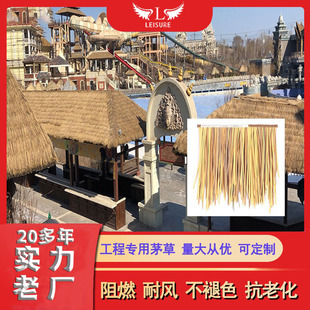 �������x���ϵ��ݭh���oζ��ꖲ݉����L��é�݂��������b�