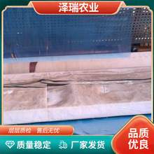 �rĤ�Ӻ���|�i�؏����ϻ���˺������Ĥ��Ȝز�С �߱���Ĥ