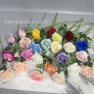 ��c���������廨�����֧ĥë�ʯõ��Ҿ�ܛ�b�[�ŵ��ߔ[�Ļ�ˇ