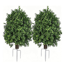 羳¿ز}QbƷͥԺ@ݵطGֲľ