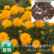 l uվշN ذ Ͱuuu Nһp