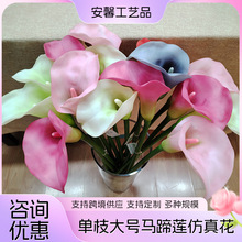 PU̖Rɏ滨ٻcҾbֲ羳l