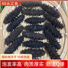 40头辽刺参六排刺干货海参淡干大连参批发15倍大厚肉30头50头60头