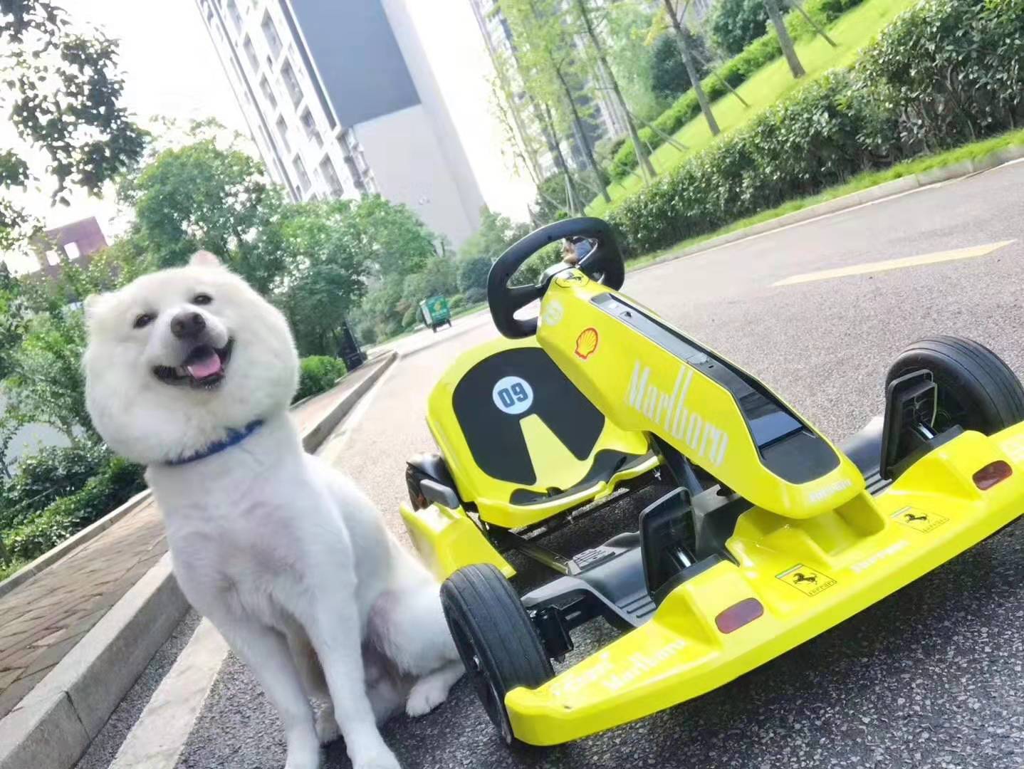 AMATI para Xiaomi Equilibrio Kit de kart modificado para adultos y niños Universal Electric Drift Racing