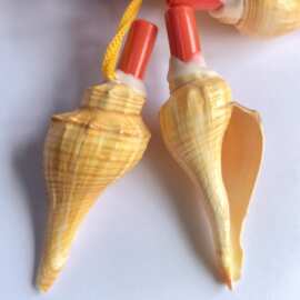 研学直销海螺贝壳红香螺哨 家居装饰送礼纪念品 婚庆喜庆品旅游