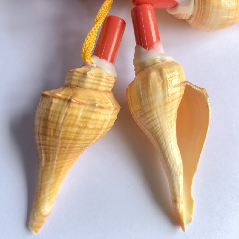 Direct Sales of Conch Shells, Red Snail Whistles, Home Decoration, Gift Souvenirs, Travel Mother-Of-Pearl Crafts