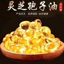 Ʊ`֥ܛó`֥ƷNeɽ`֥ȡǸ`֥