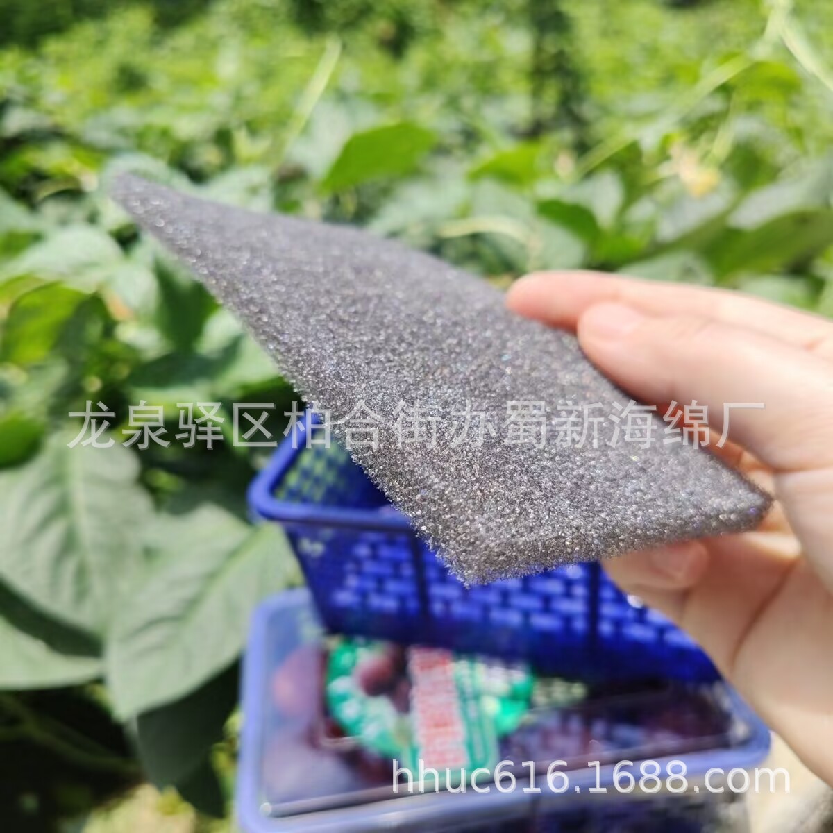 供应杨梅防护聚氨酯海绵/水果内衬吸水海绵垫/杨梅内托PU海绵垫