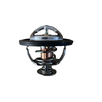 8972112090 8973617700, Thermostat