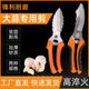 Cut garlic artifact special scissors express garlic scissors agricultural tools cut garlic root garlic onion scallion upgrade