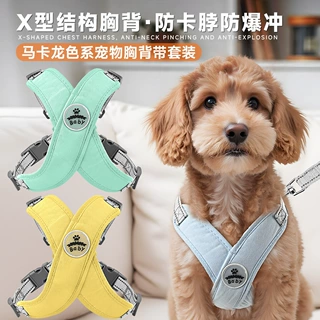 跨境狗狗牵引绳可调节式夜间反光胸背带泰迪柯基法斗户外遛狗装备
