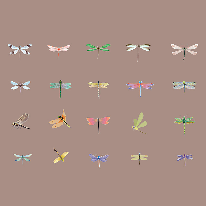 꿈속으로 날아가는 꽃