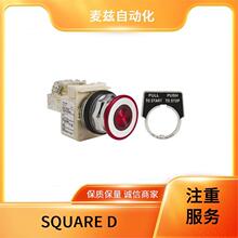 SQUARE D ��ȫ���� ����Ԫ���� SM656A21610FP