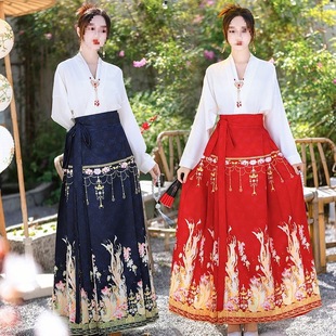 Authentic Ming-Style Original Mamian Skirt Chinese Style 2025 New Chinese Hanfu Women's Daily Wedding Full Set Commuting Jianyu