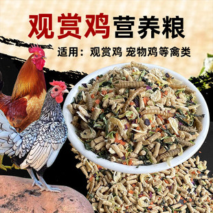 �����u��ϴ��u��ϵ��u��ĸ�u�Lβ�u�����u�軨�u���_�uС�u��