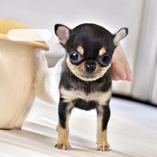 ���N�F����������Ȯ�豭Ȯ�O���^�S��ɫ������С�͌�����w����