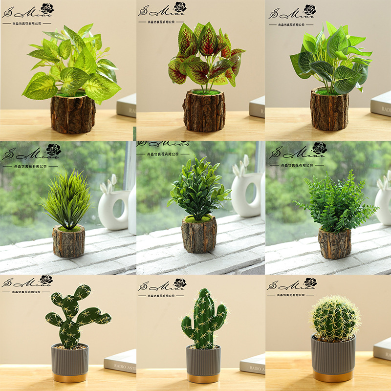Set de 9 piezas de plantas verdes C☆
