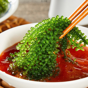 ��ͯ������100g��ʳ�Gɫ�~���u�ݰl�W�tС���Ե���ʳ���r�ͽ�ĩ�S