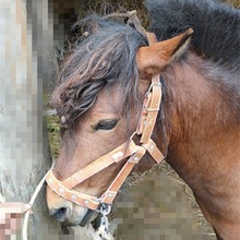 �R�\�^�ֹ��R�\�^ȫ���R���^��������R�\�^���R�\�K