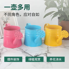 灑水壺鐵藝澆花噴壺盆栽澆水壺多彩1升噴水壺園藝養花裝飾盆兒童