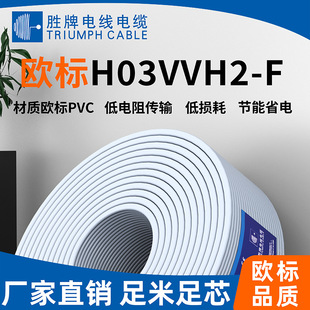���ƏS�ҬF؛ �W�� H03VVH2-F PVC�^��늾� ��ܛ�׏��� �Դ�侀