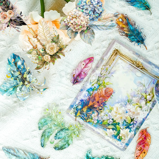 �͹��p����ë30��PET���w�C���D���N��͸����ˮ���~�ز��b��N��